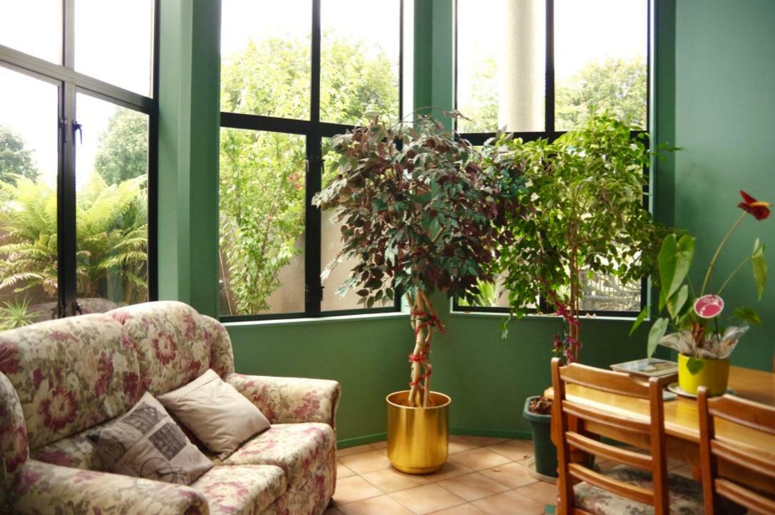Hamilton East Homestay Екстер'єр фото